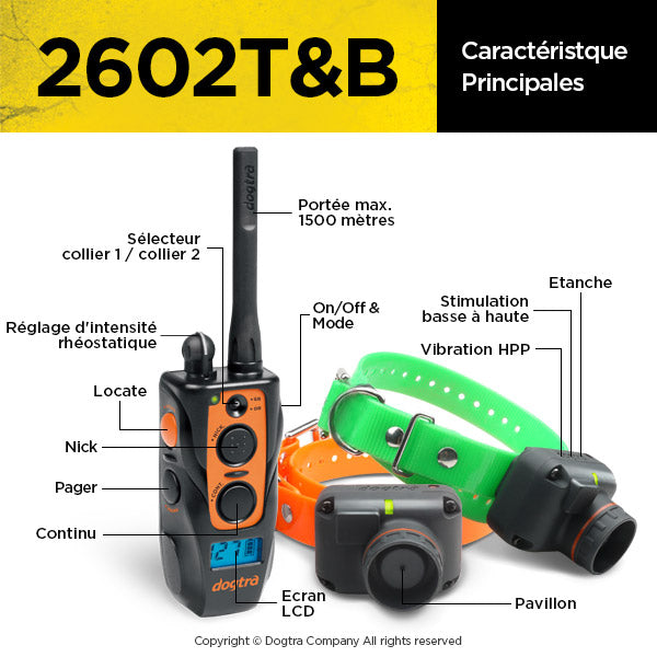 2602 T&B