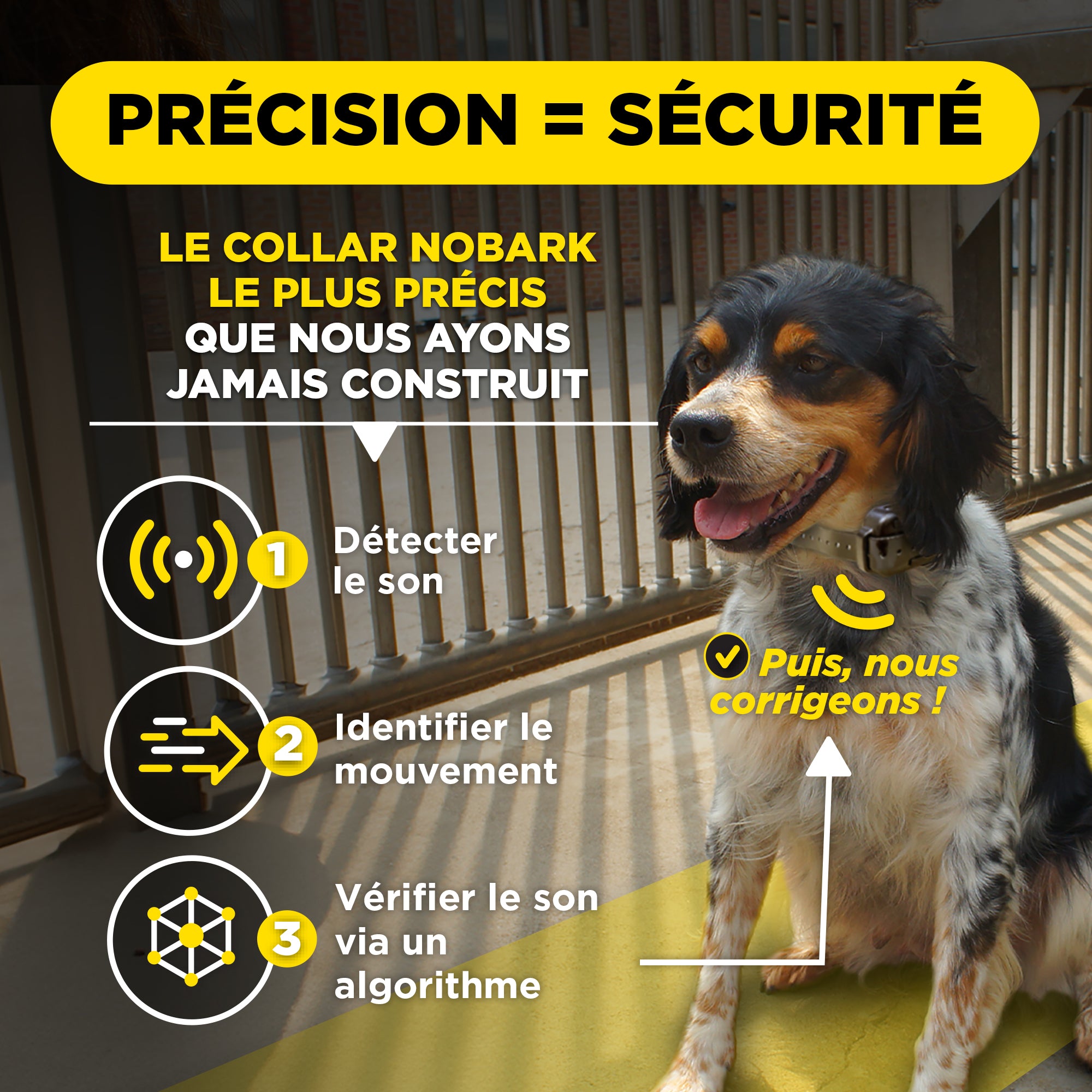 DOGTRA SMART NOBARK