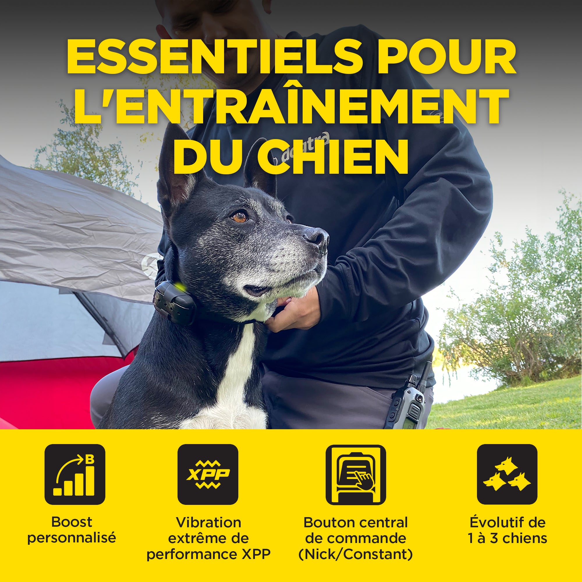 640X Kit 1- Chien ( 280X )  version EU
