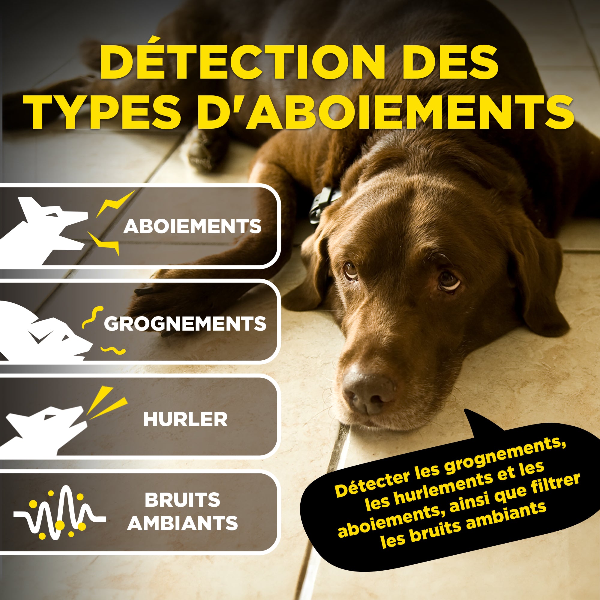 DOGTRA SMART NOBARK