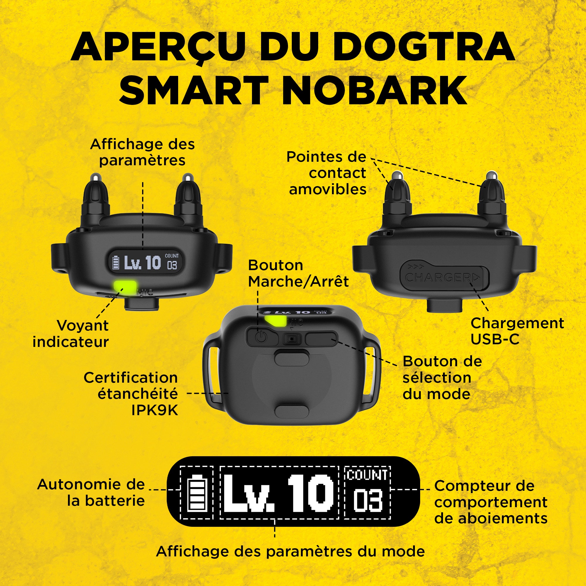 DOGTRA SMART NOBARK