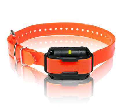 Receiver Dogtra 600M