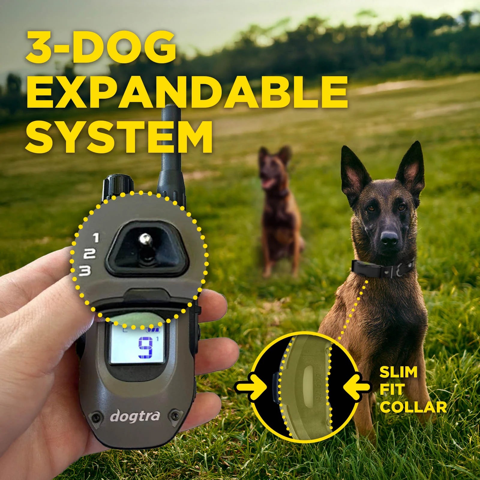 ARC-X Kit 1- Dog Unit