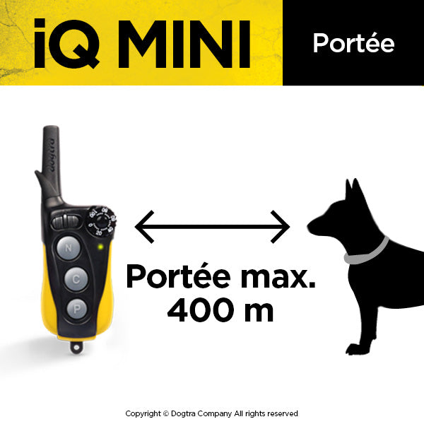 iQ MINI