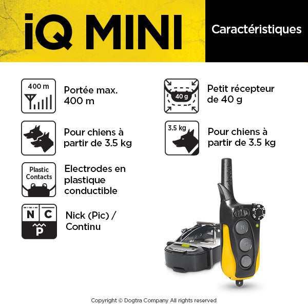 iQ MINI