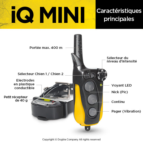 iQ MINI