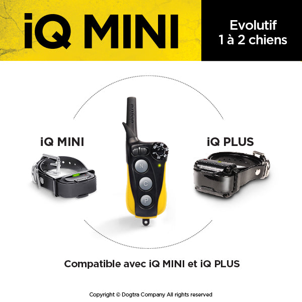 iQ MINI