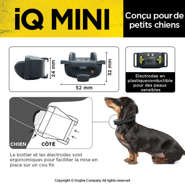 iQ MINI