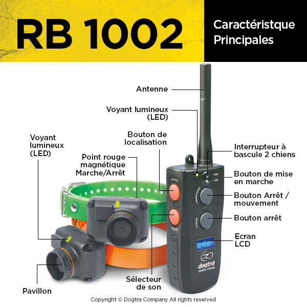 RB 1002