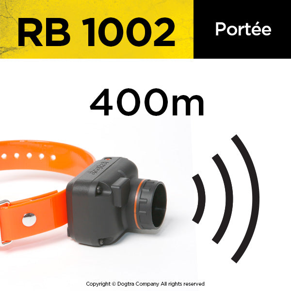 RB 1002