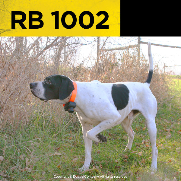 RB 1002