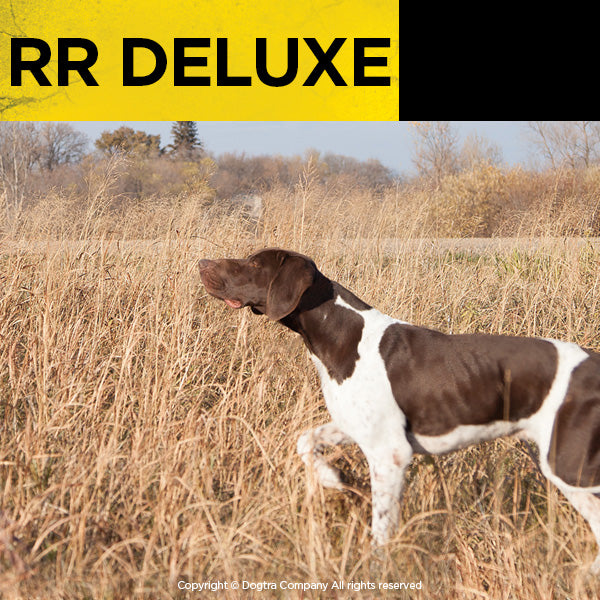 Transmitter + Receiver RR Deluxe