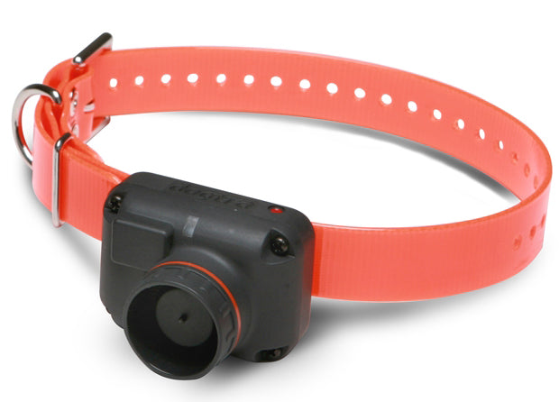 Receiver Dogtra RB 1000 / RB 1002