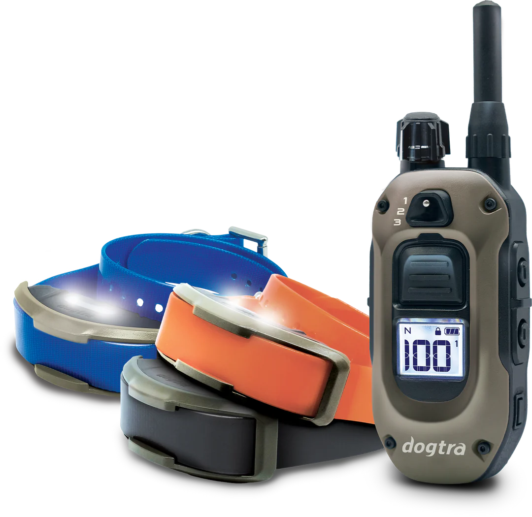 1200X 2-Dog Unit + ADDITIONAL RECEIVER