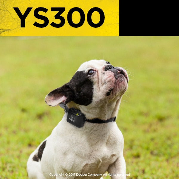 YS300