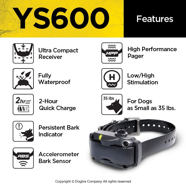 YS600