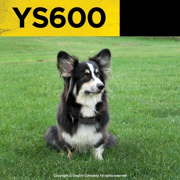 YS600 (Anti-Bell Halsband für große Hunde)