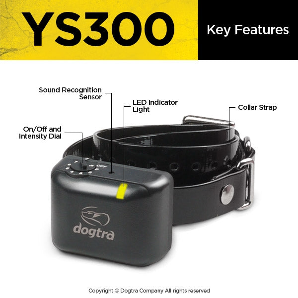 YS300