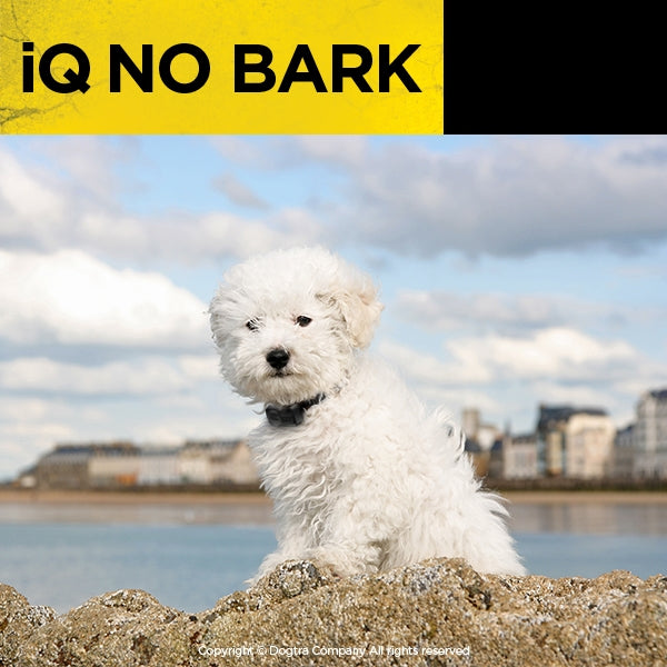 iQ No Bark