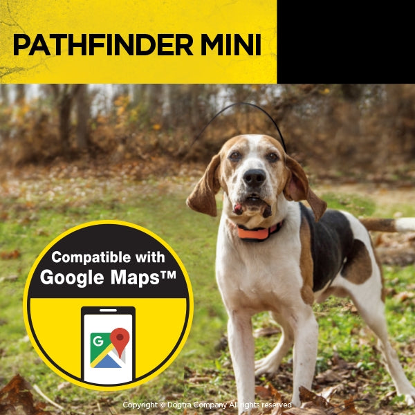 Pathfinder Mini