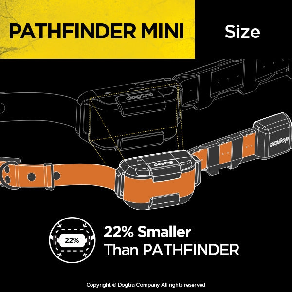 Pathfinder Mini