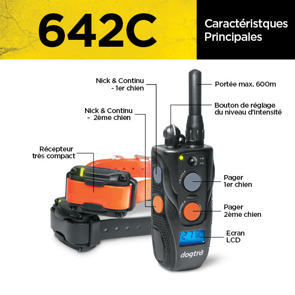 642C