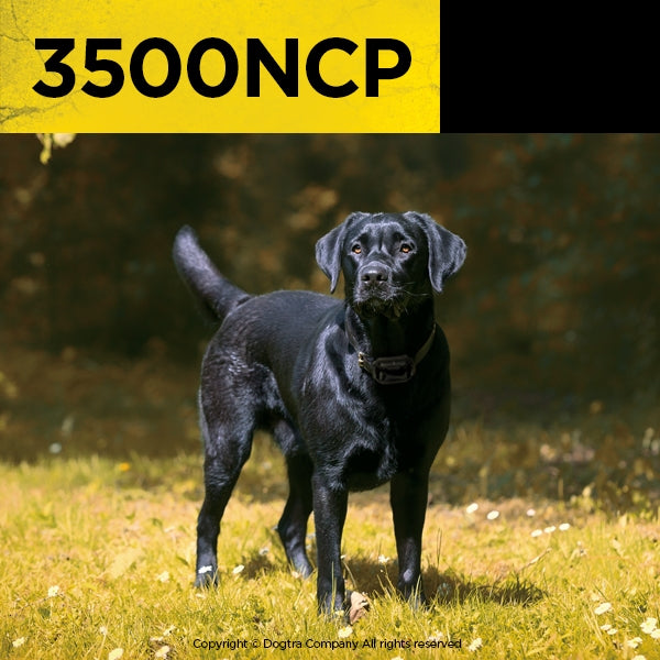 3500 NCP