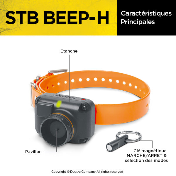 StB Beeper