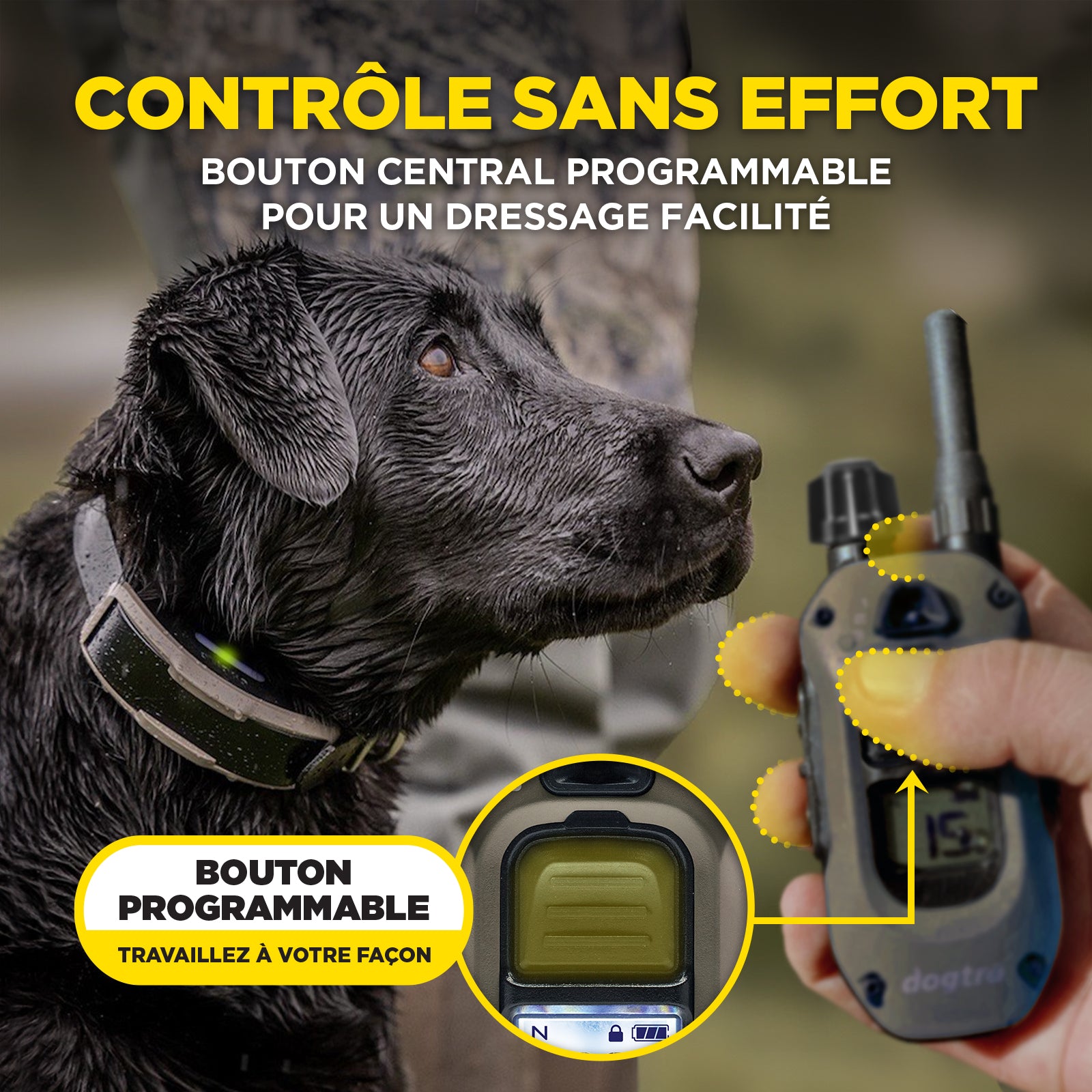 1200X Kit 2-Chiens ( 1900X 2-Dog Unit )  version EU
