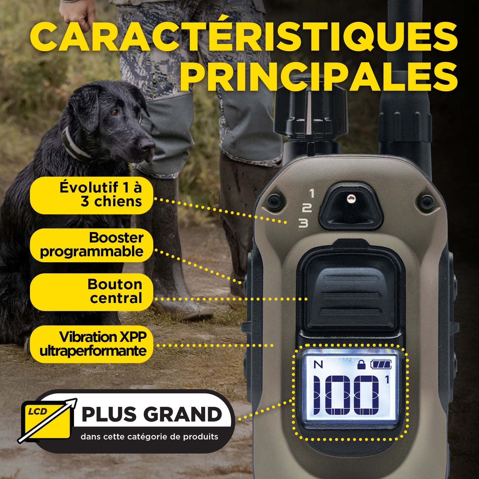 1200X Kit 2-Chiens ( 1900X 2-Dog Unit )  version EU