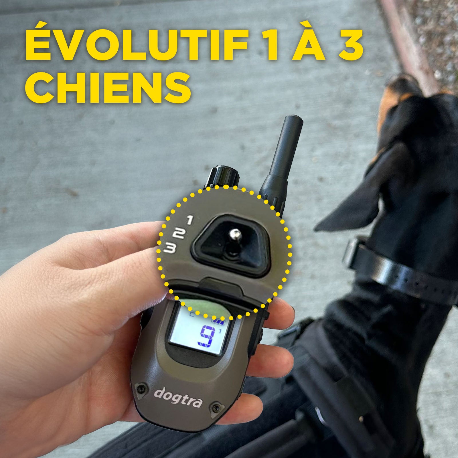 1200X Kit 2-Chiens ( 1900X 2-Dog Unit )  version EU