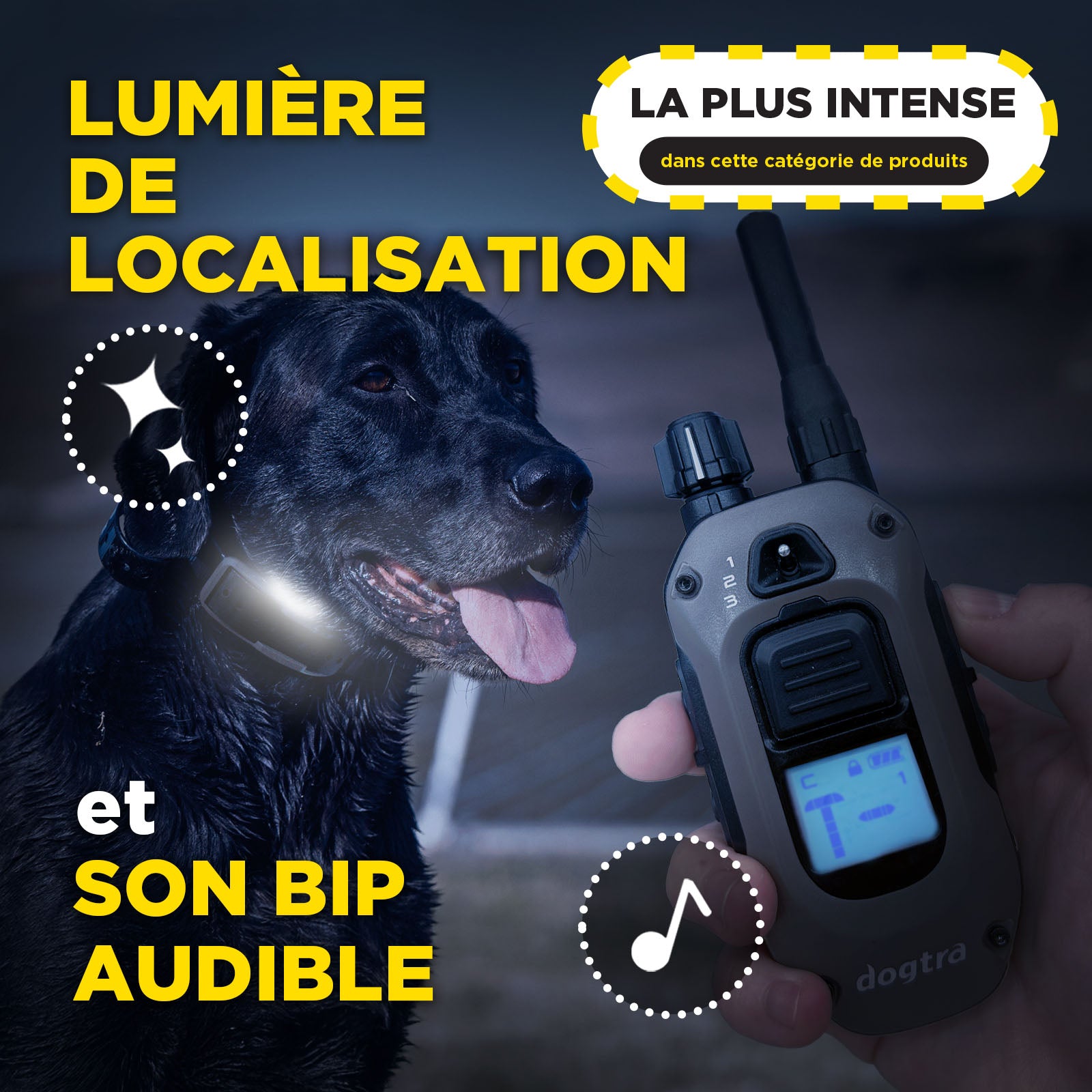 1200X für 1-Hund (1900X 1-Hund ) + Freihandsystem