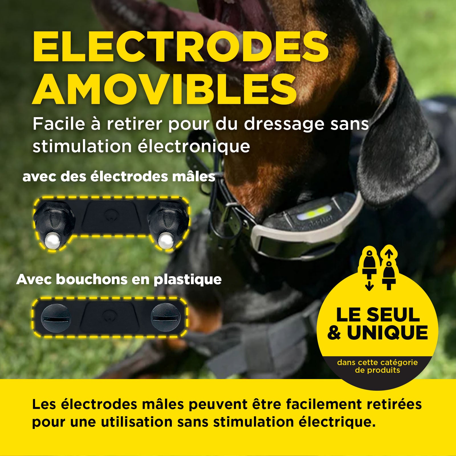 Récepteur Dogtra 1200X