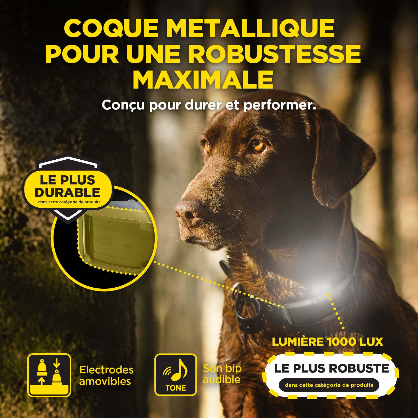 Récepteur Dogtra 1200X
