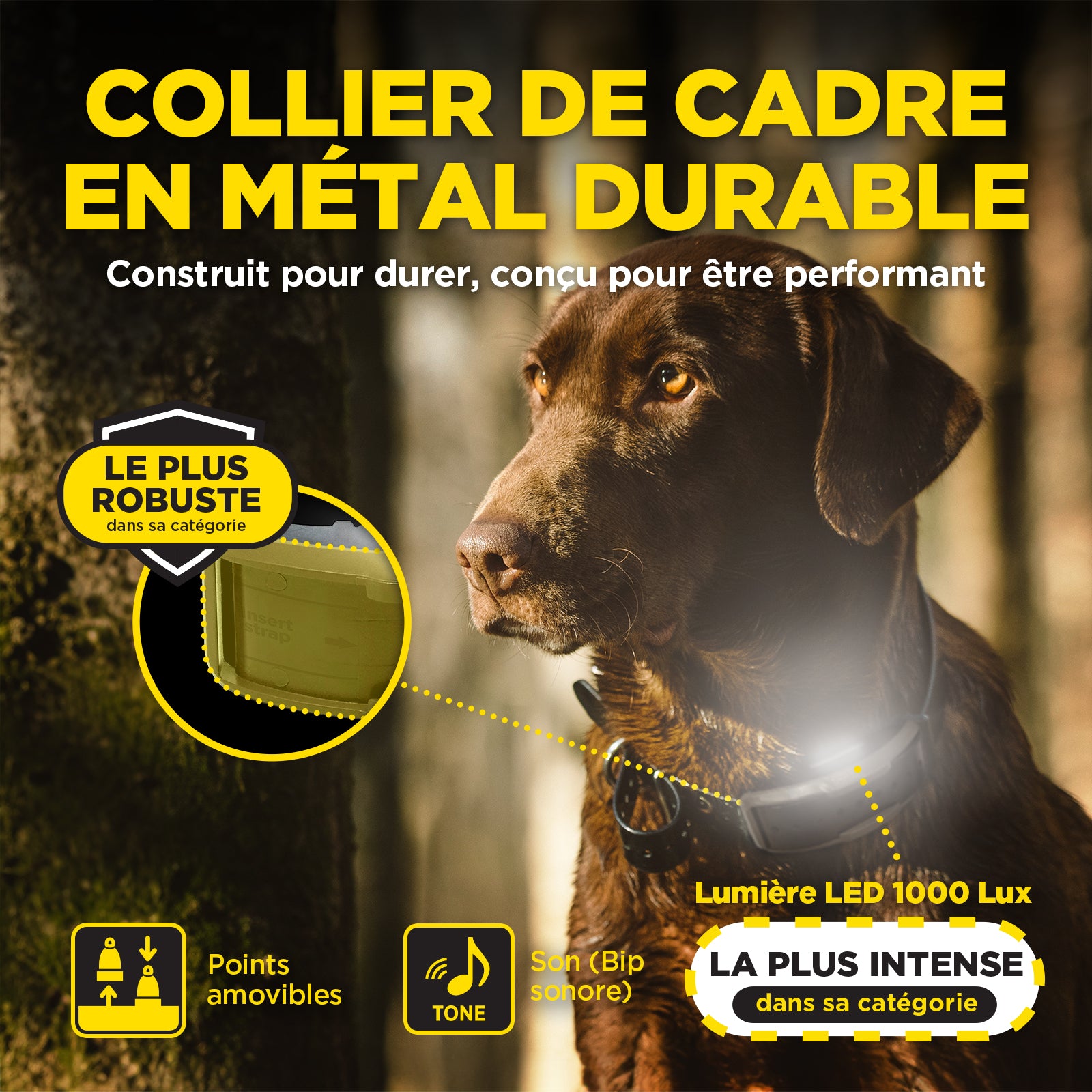1200X Kit 1-Chien avec X-SHIELD