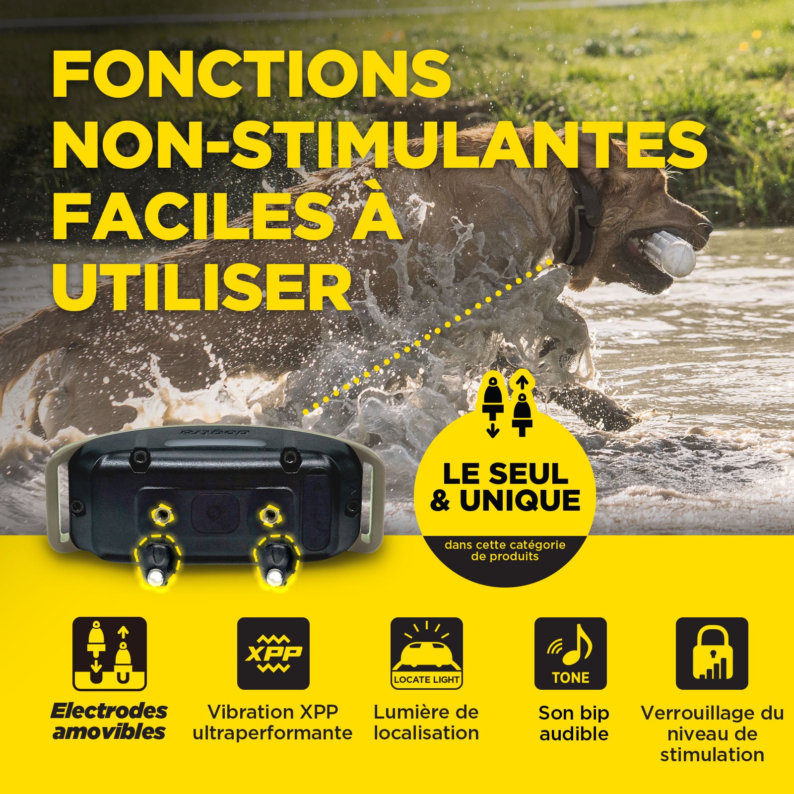 1200X Kit 1-Chien avec X-SHIELD