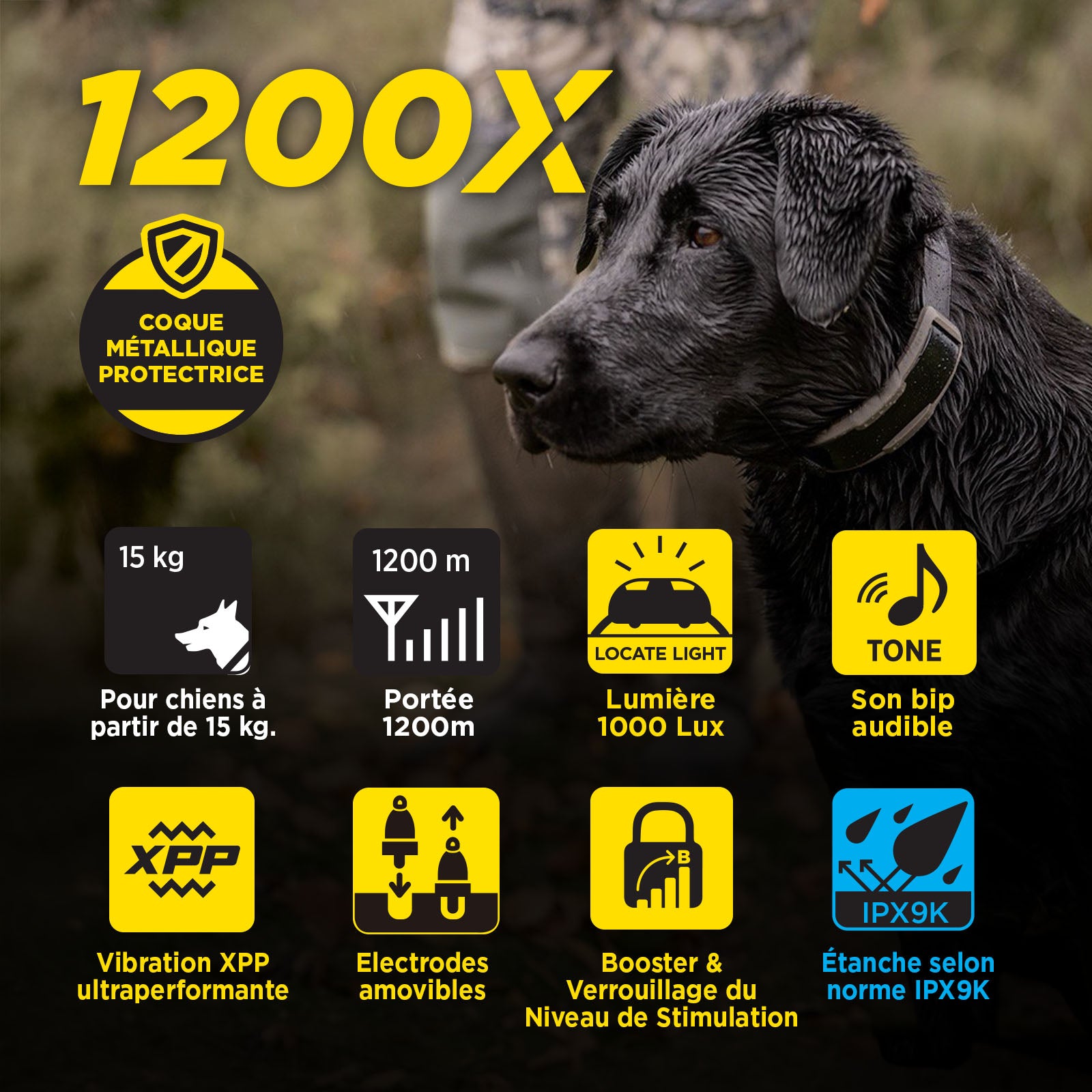 Récepteur Dogtra 1200X