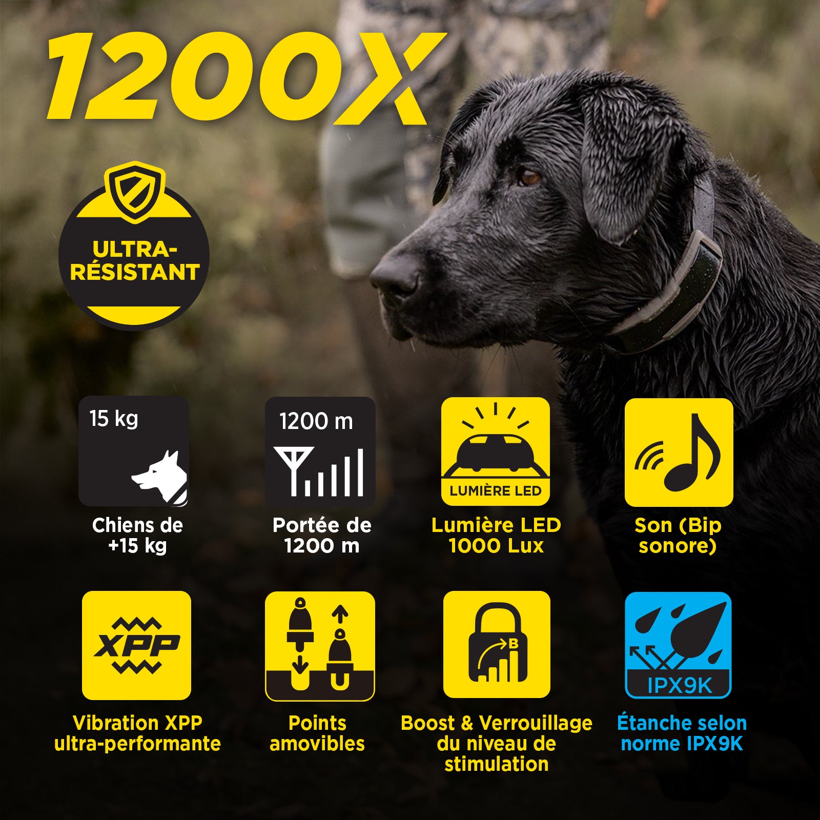 1200X für 1-Hund (1900X 1-Hund ) + Freihandsystem