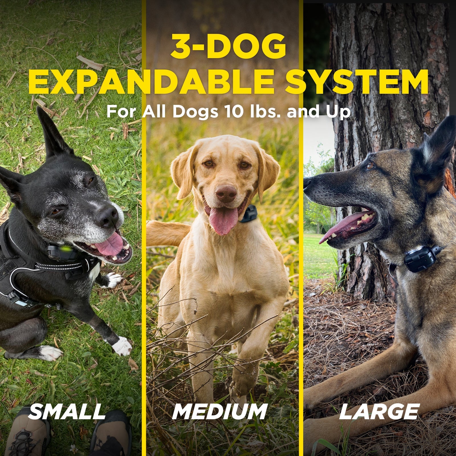 Empfängerhalsband für Dogtra 640X/600iQ