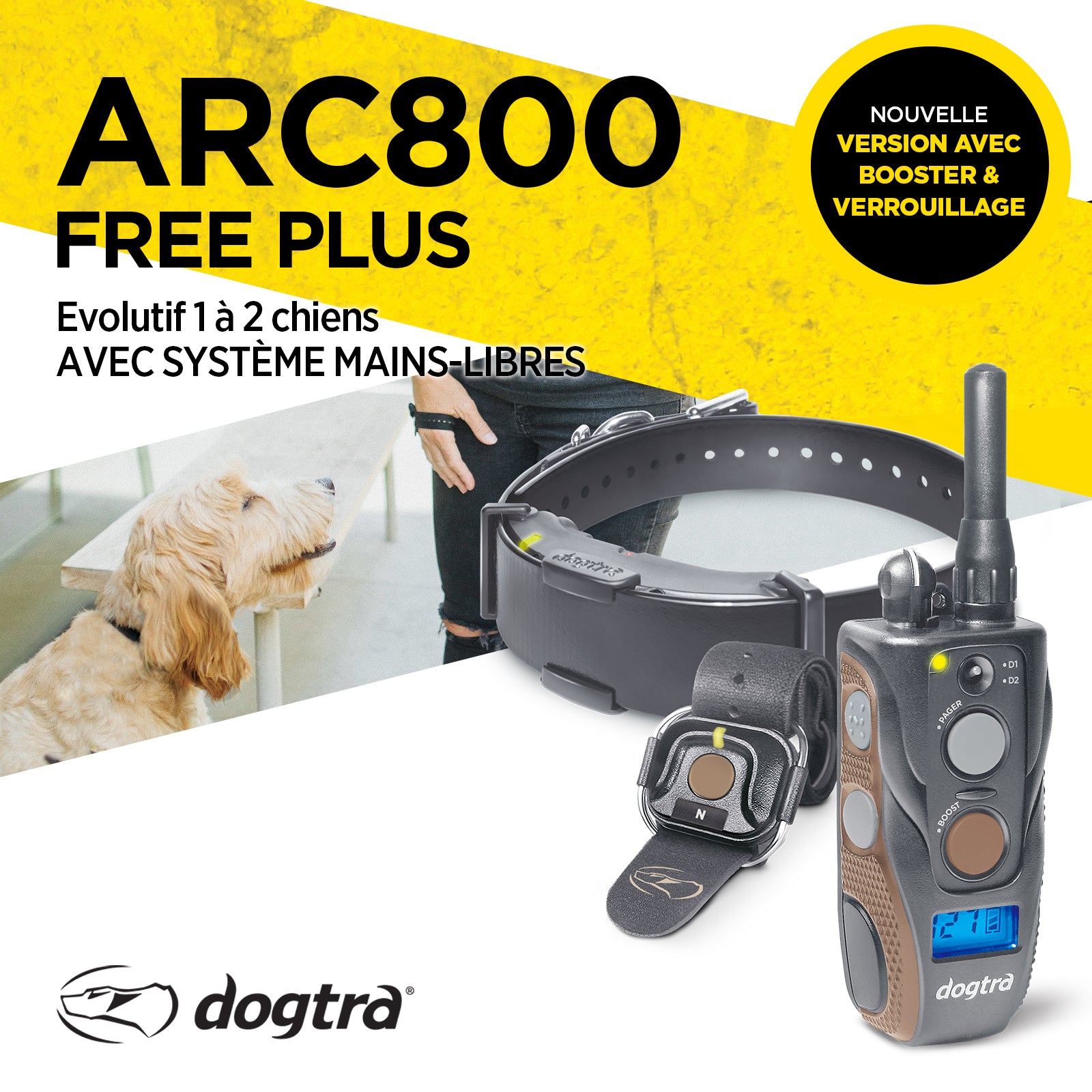 Dogtra shop arc 800