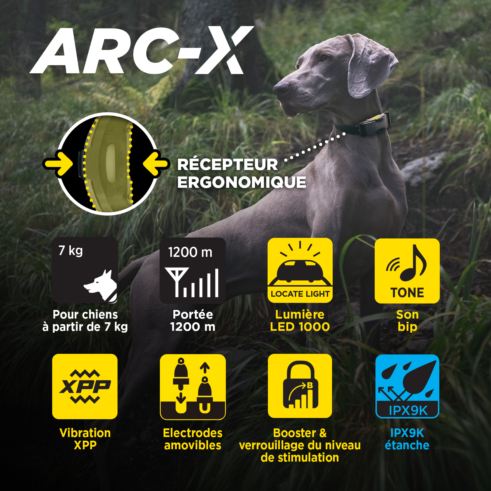 ARC-X Kit 2-Dog Unit with two HANDSFREE SQUARES