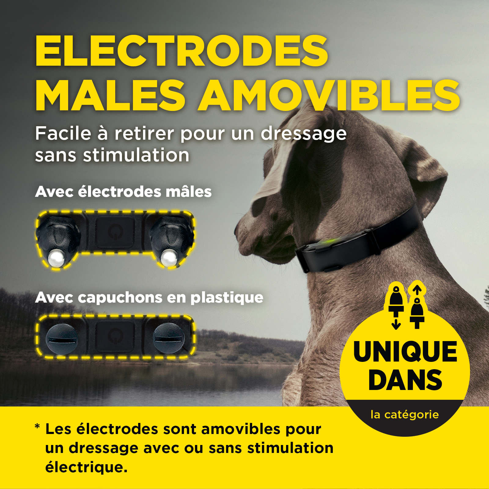 ARC-X Kit 2-Dog Unit with two HANDSFREE SQUARES