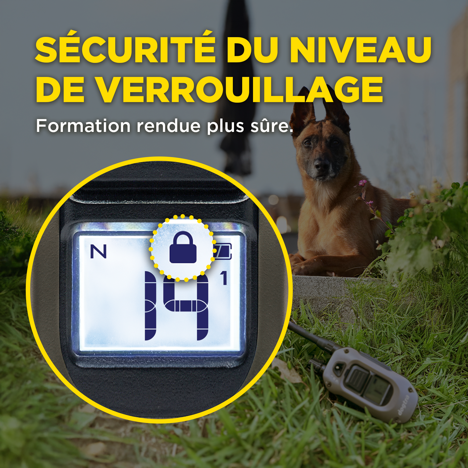 ARC-X Kit 2-Hunde mit Freihandsystem