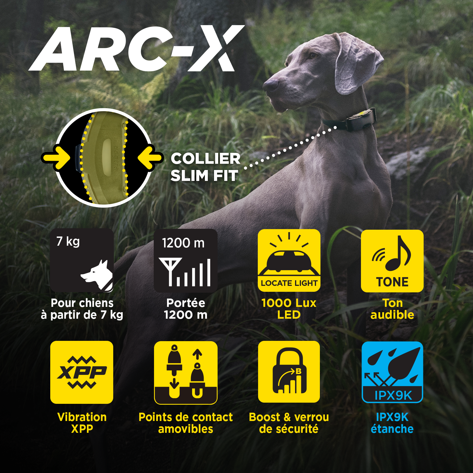 ARC-X Kit 2-Dog Unit with two HANDSFREE SQUARES