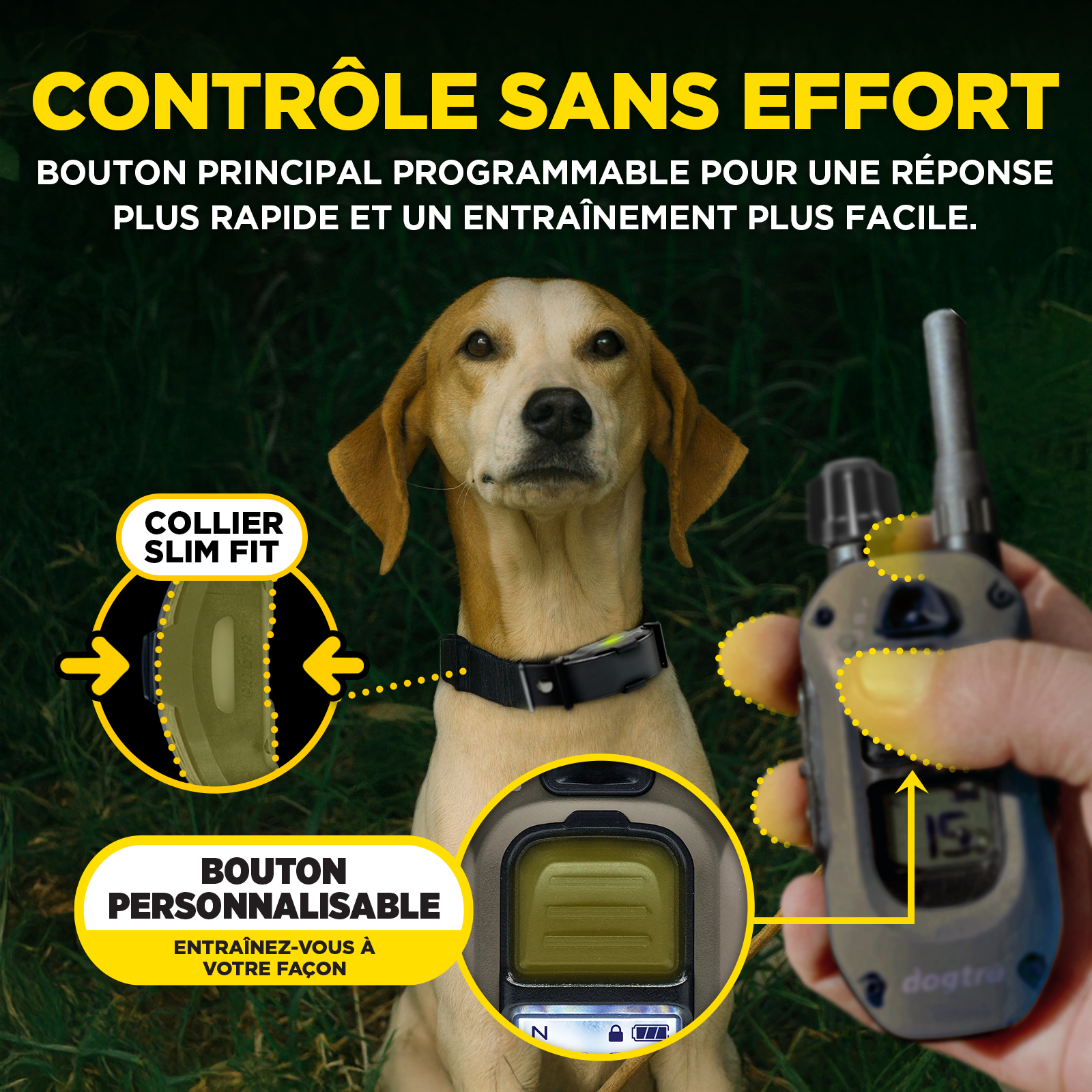 ARC-X Kit 2-Dog Unit with two HANDSFREE SQUARES