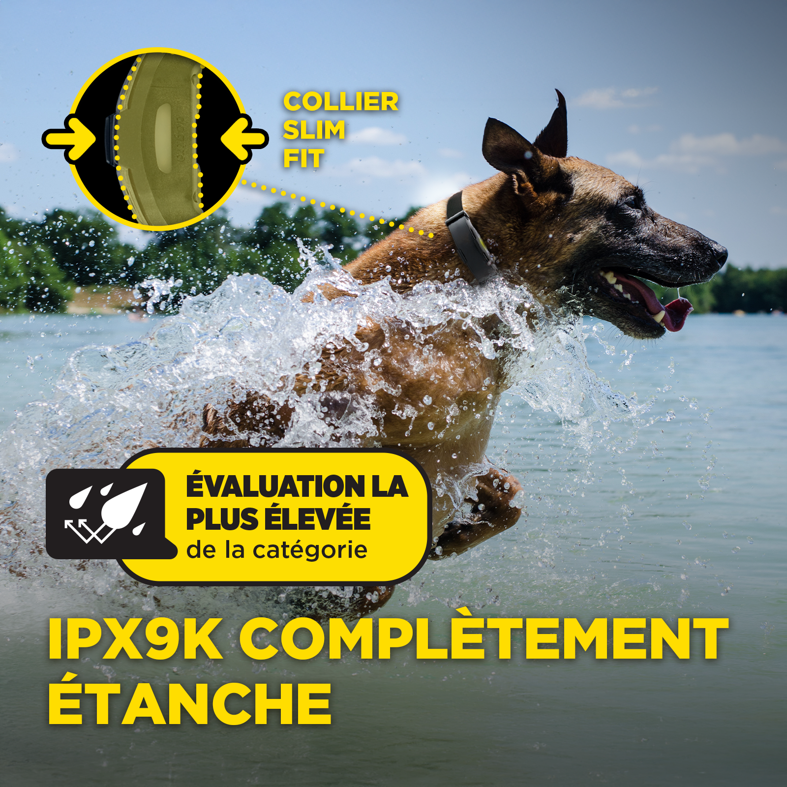 ARC-X Kit 2-Dog Unit with two HANDSFREE SQUARES
