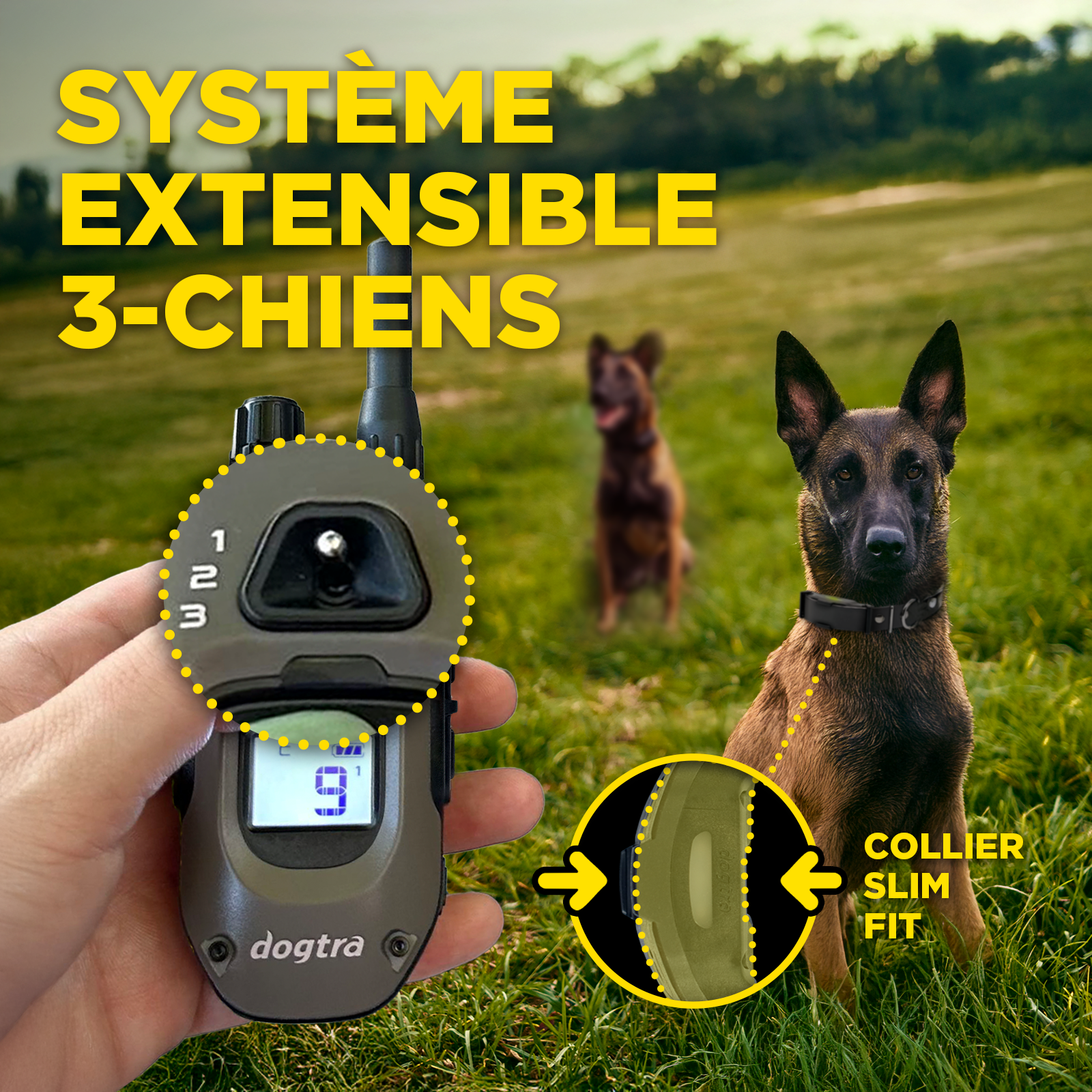 ARC-X Kit 2-Dog Unit with two HANDSFREE SQUARES