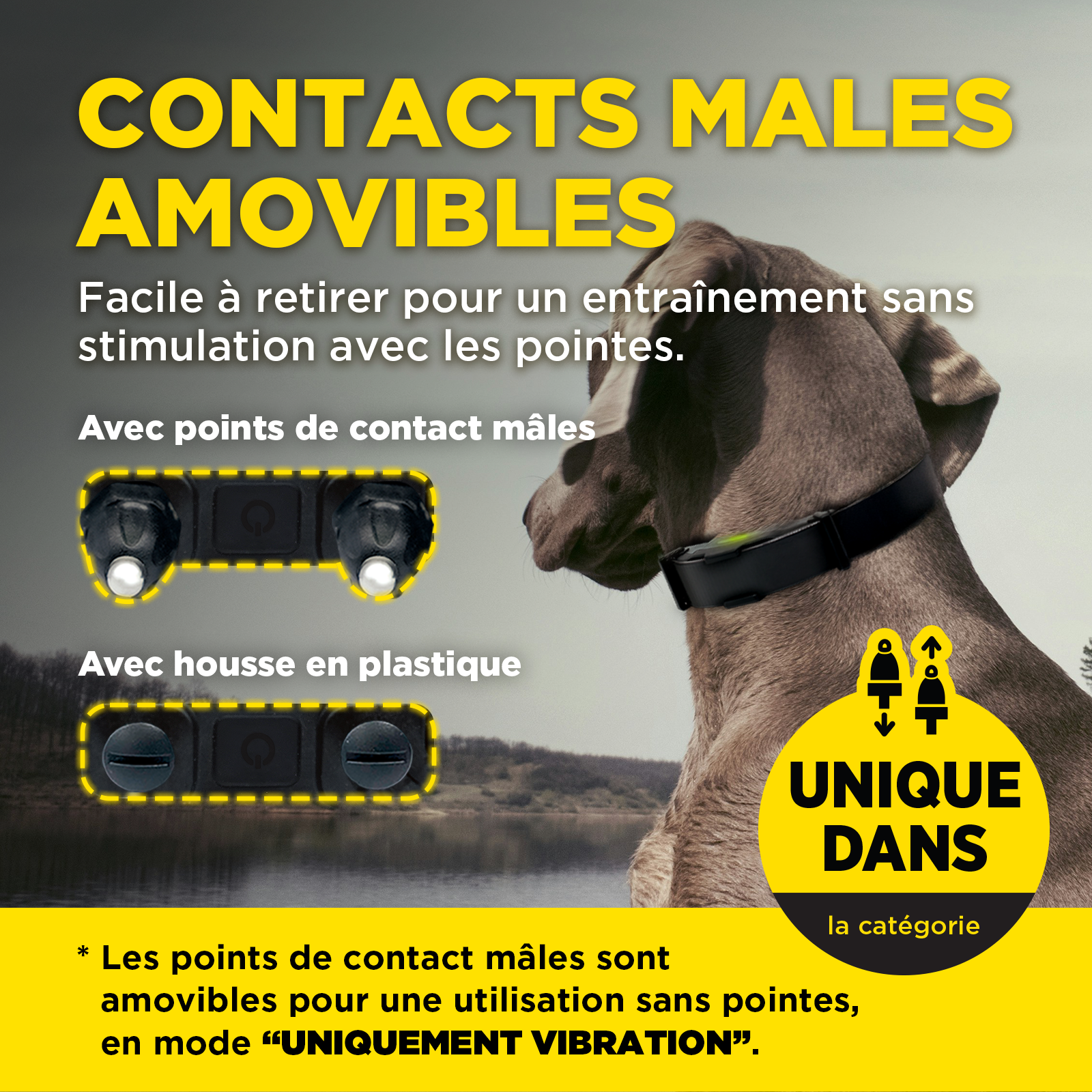 ARC-X Kit 2-Dog Unit with two HANDSFREE SQUARES