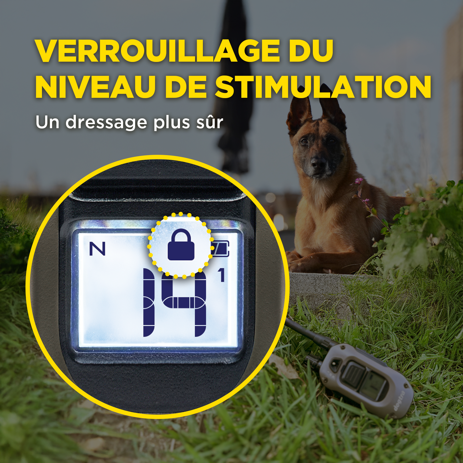 ARC-X Kit 2-Dog Unit with two HANDSFREE SQUARES