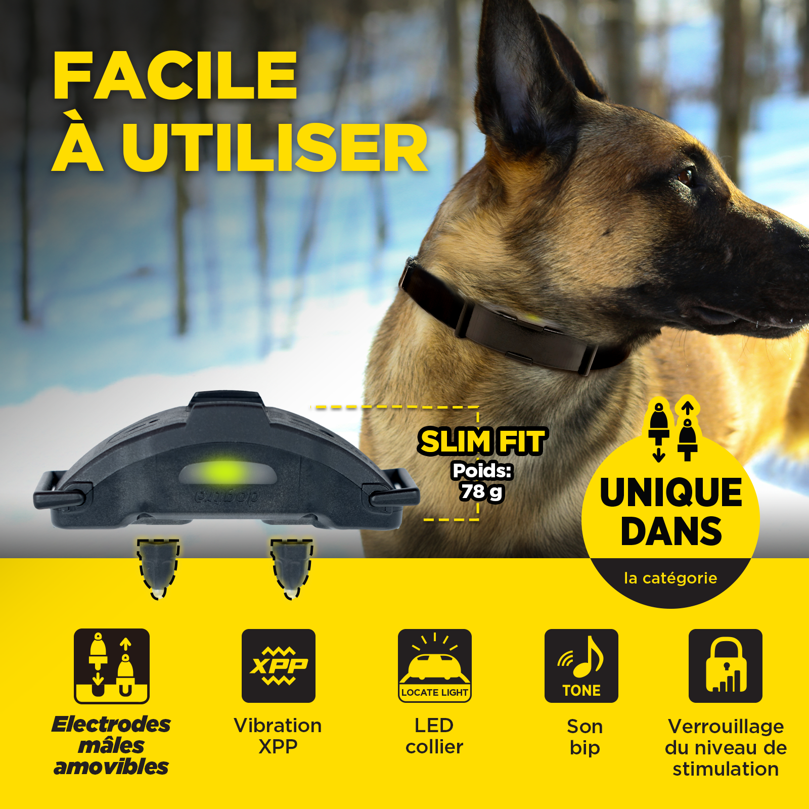 ARC-X Kit 2-Dog Unit with two HANDSFREE SQUARES